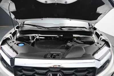 2025 Honda Passport EX-L